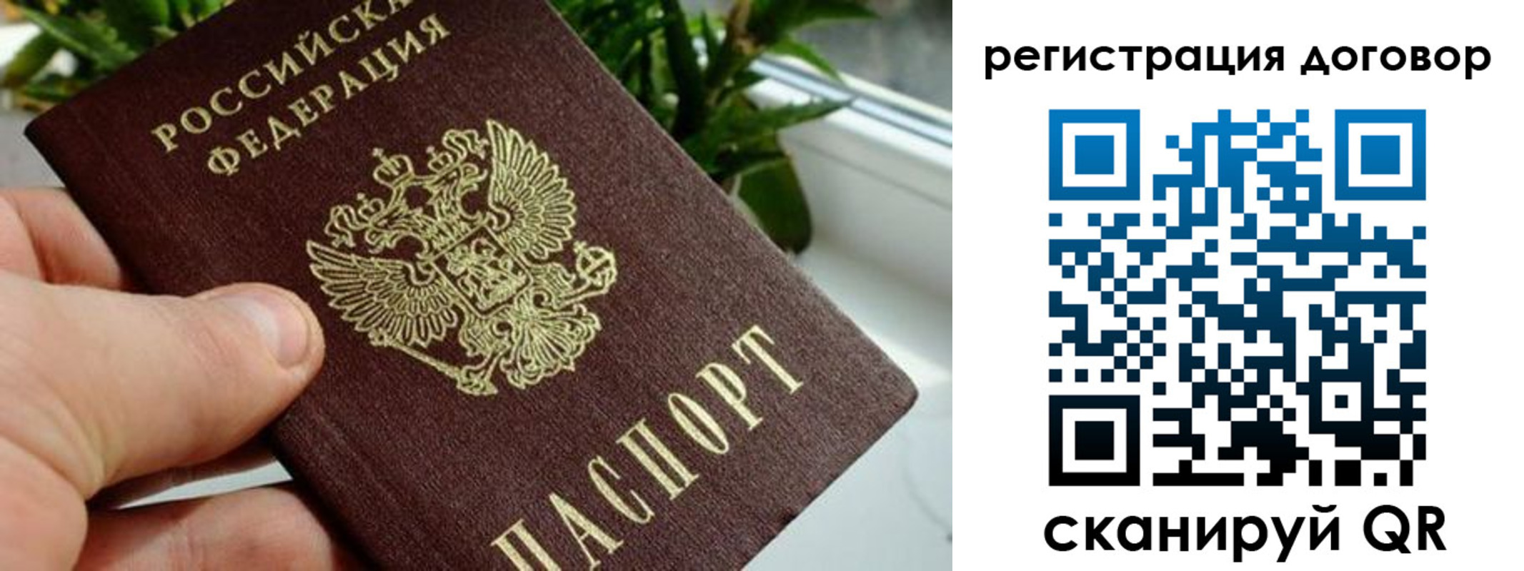 прописка ребенка в Кудрово